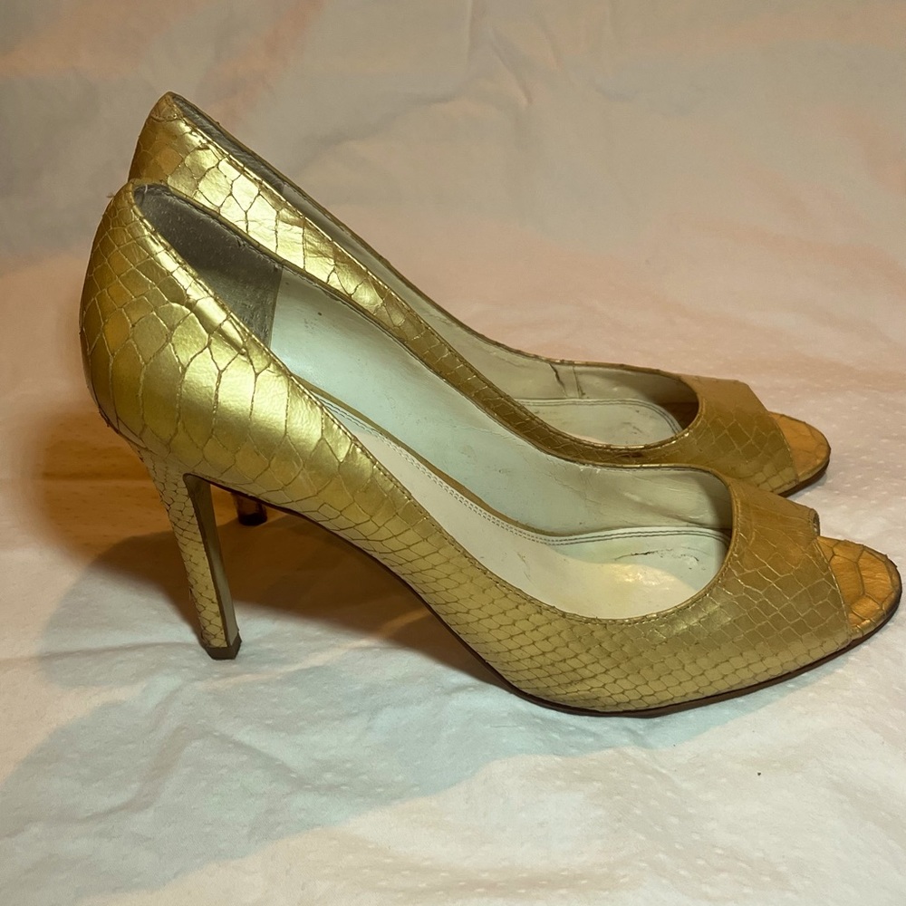 Enzo Angiolini Eamerry Ann Heels